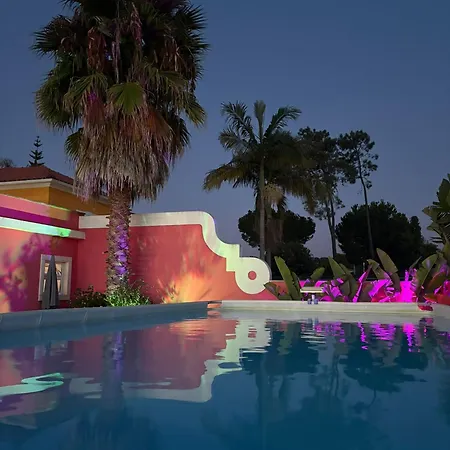 Verdizela Корройюш