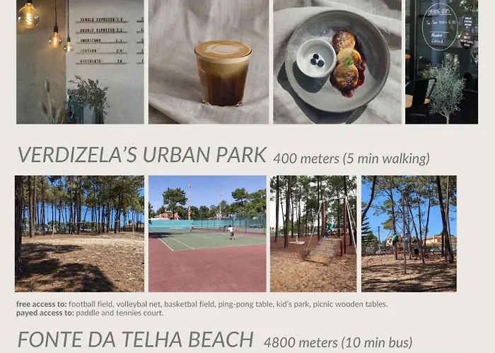 Verdizela 克洛伊奥斯